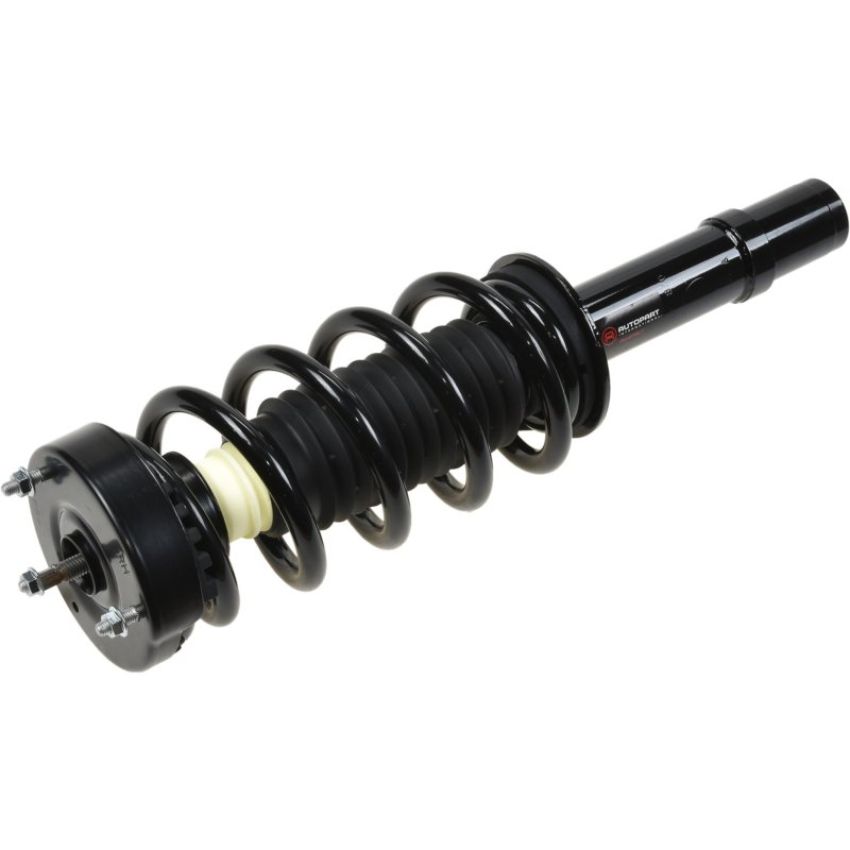Autopart International Strut/Coil Spring Assy 2701654870