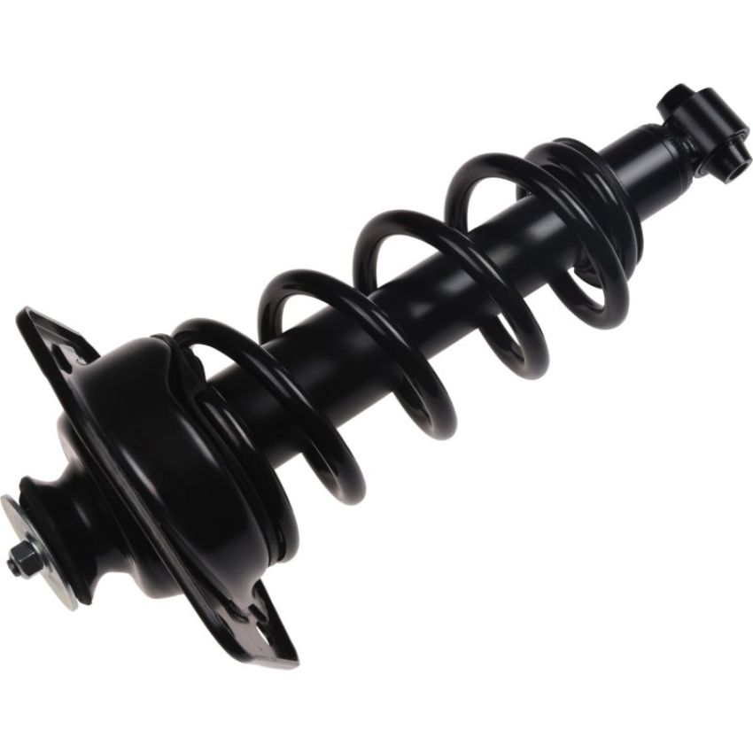 Autopart International Strut/Coil Spring Assy 2701654872