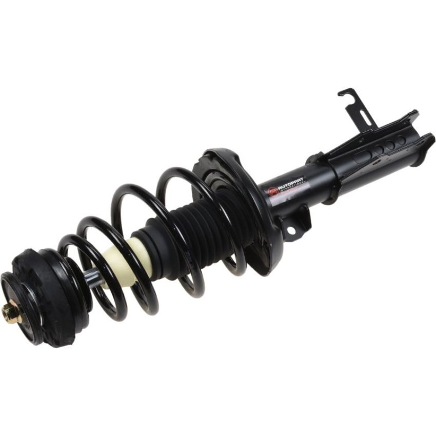 Autopart International Strut/Coil Spring Assy 2701655679