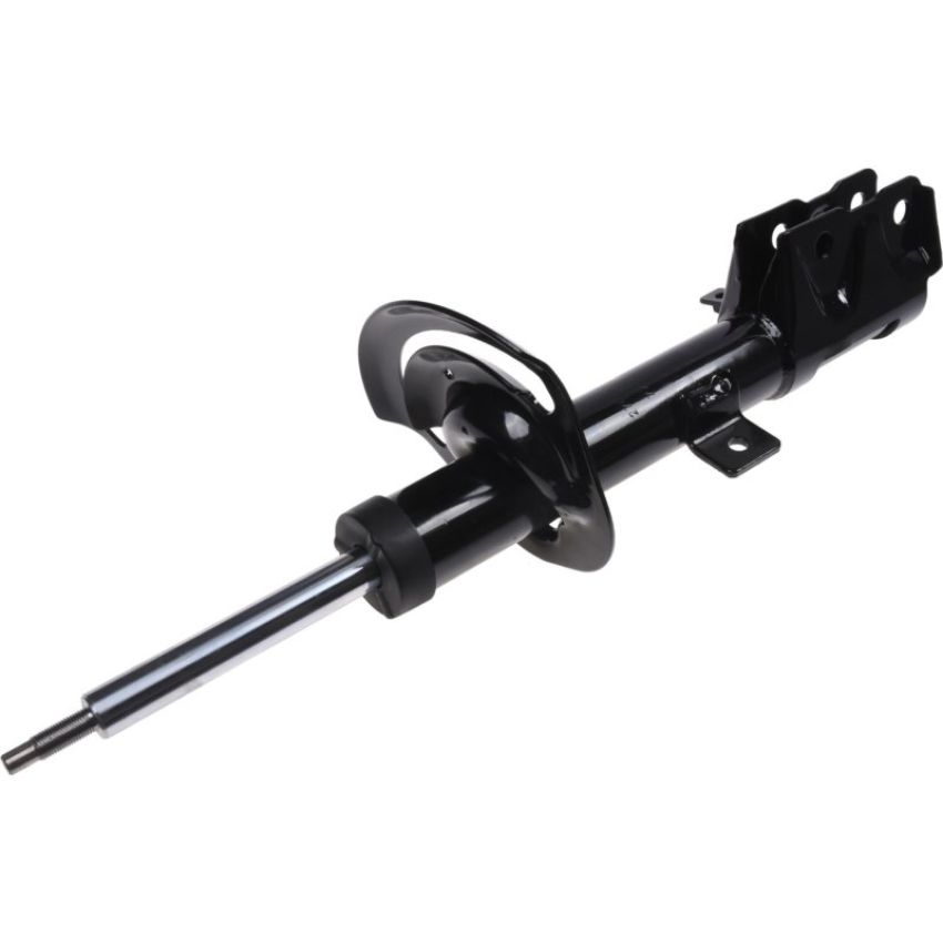 Autopart International Strut Assembly 2701658658