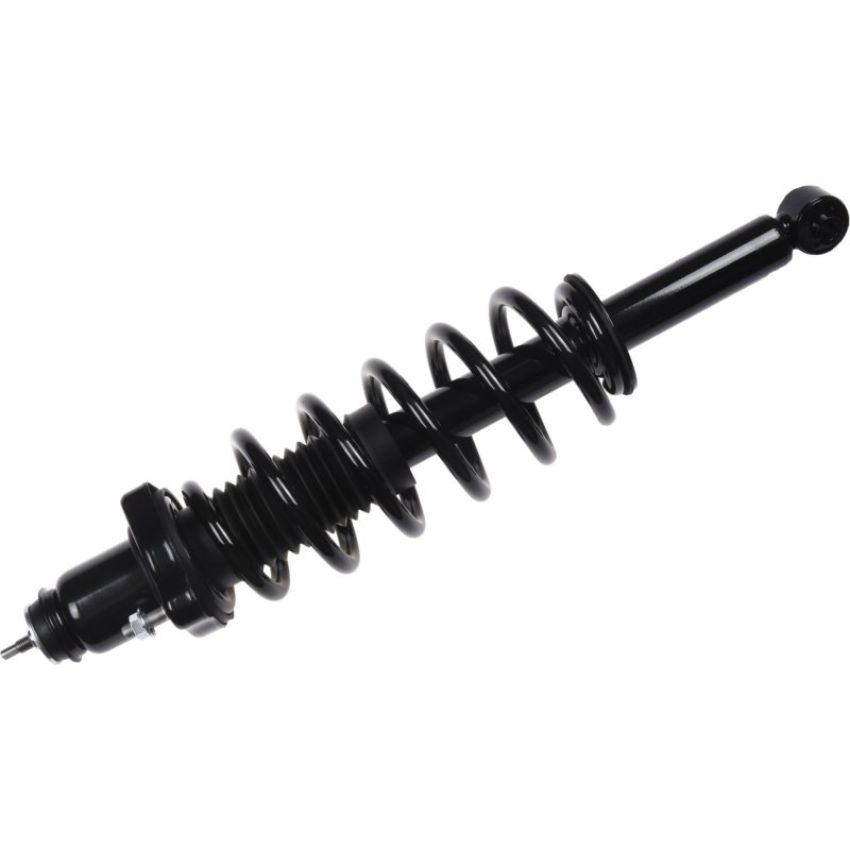 Autopart International Strut/Coil Spring Assy 2701660456