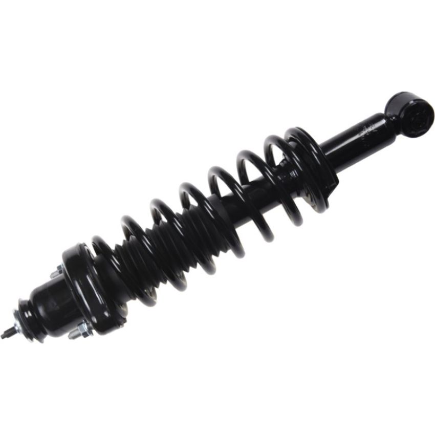 Autopart International Strut/Coil Spring Assy 2701660481