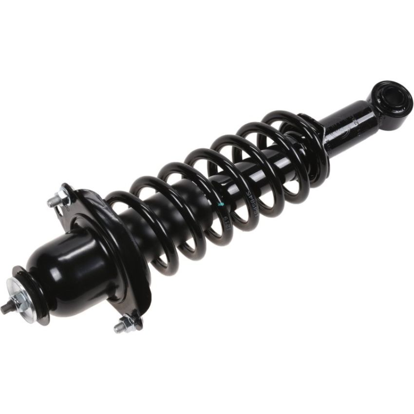 Autopart International Strut/Coil Spring Assy 2701660491