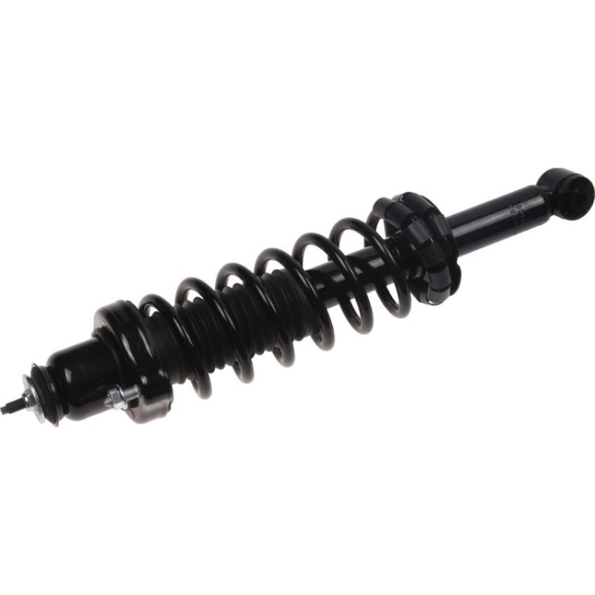 Autopart International Strut/Coil Spring Assy 2701676359