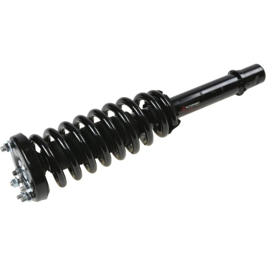 Autopart International Strut/Coil Spring Assy 2701685288