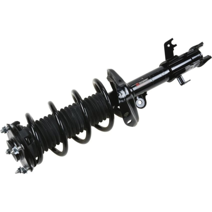 Autopart International Strut/Coil Spring Assy 2701685290