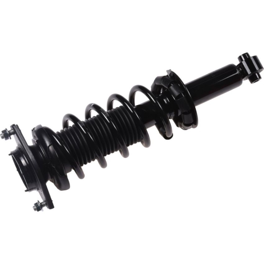 Autopart International Strut/Coil Spring Assy 2701700448