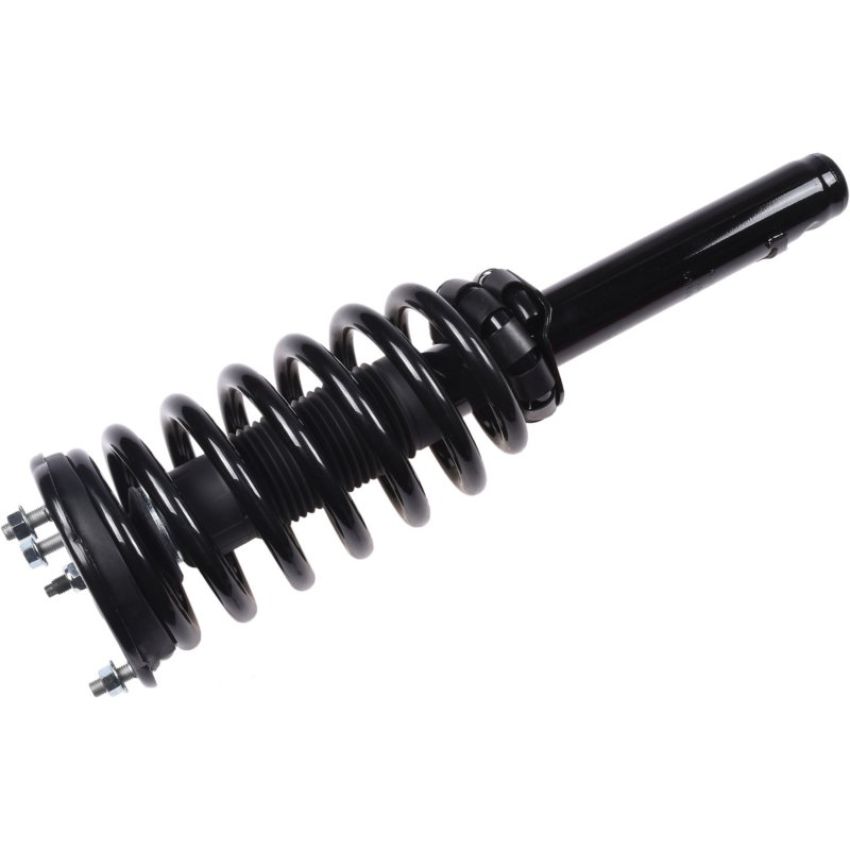 Autopart International Strut/Coil Spring Assy 2701700460