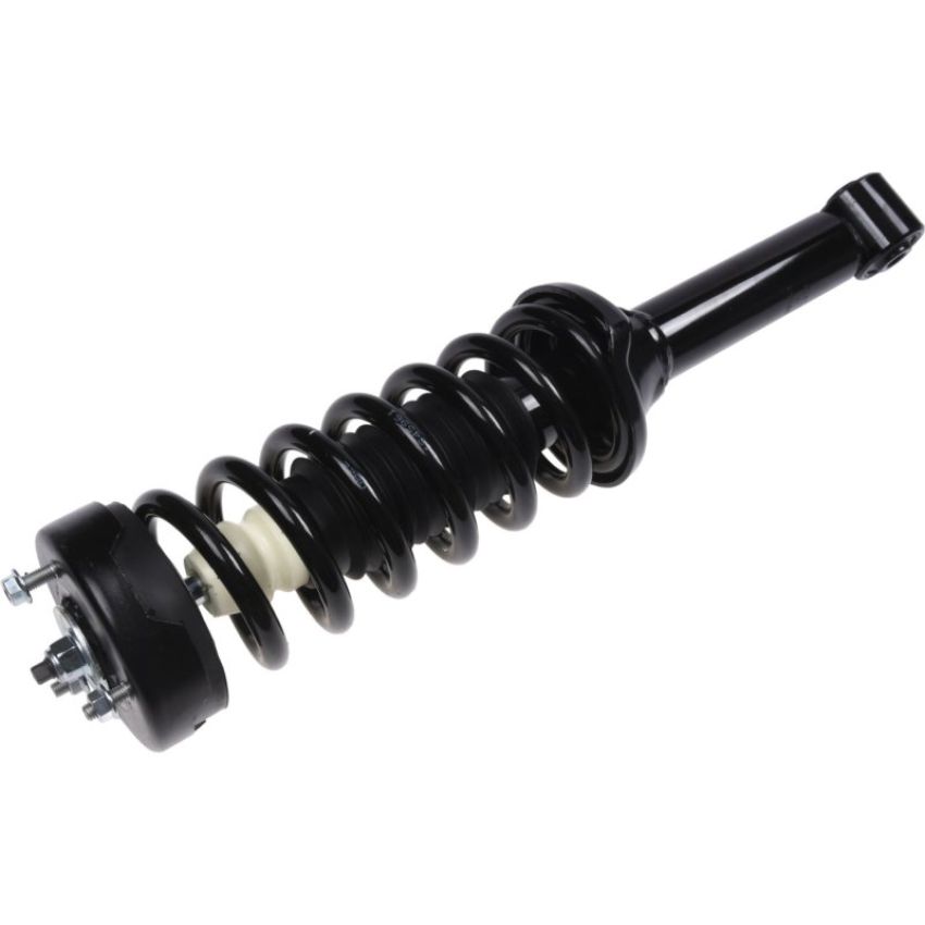Autopart International Strut/Coil Spring Assy 2701700463
