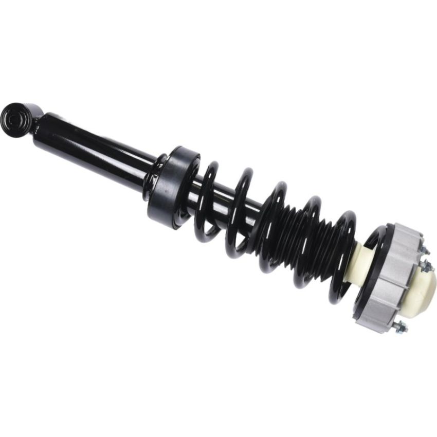Autopart International Strut/Coil Spring Assy 2701700466
