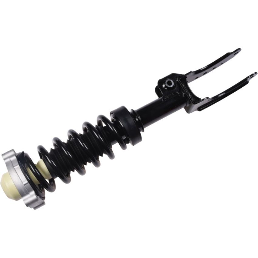 Autopart International Strut/Coil Spring Assy 2701700493