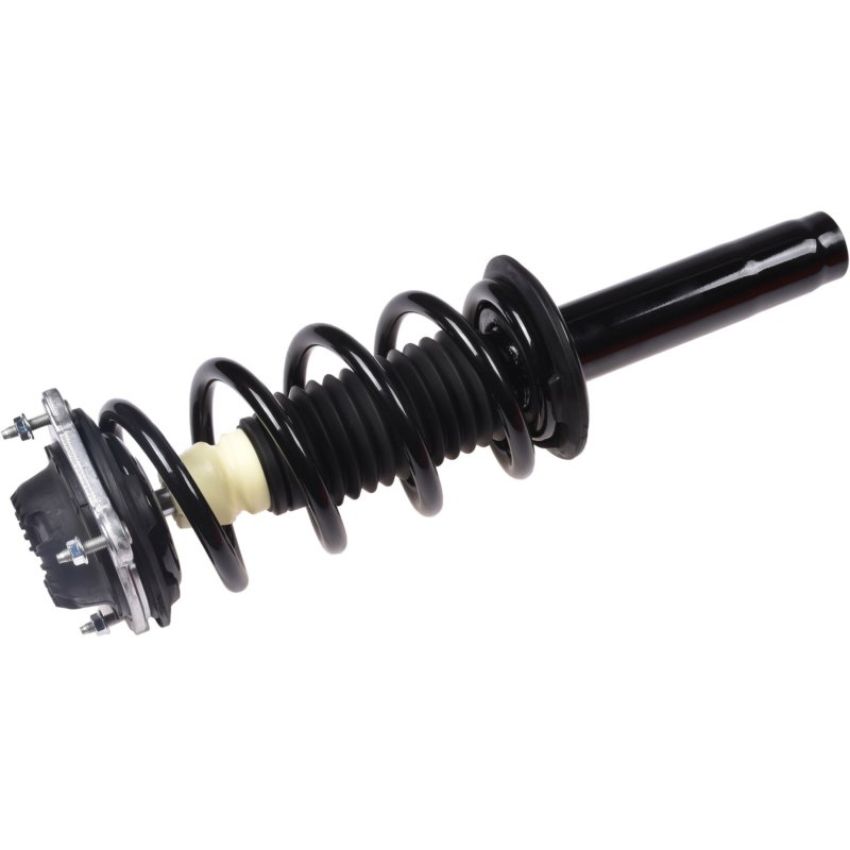 Autopart International Strut/Coil Spring Assy 2701700494