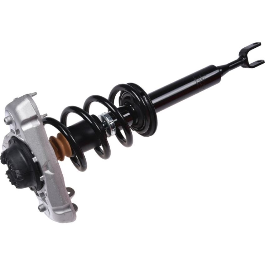 Autopart International Strut/Coil Spring Assy 2701700495