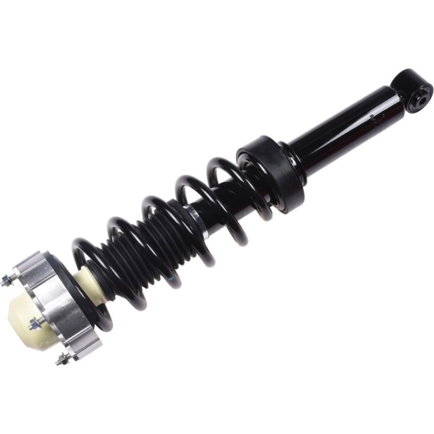 Autopart International Strut/Coil Spring Assy 2701700778