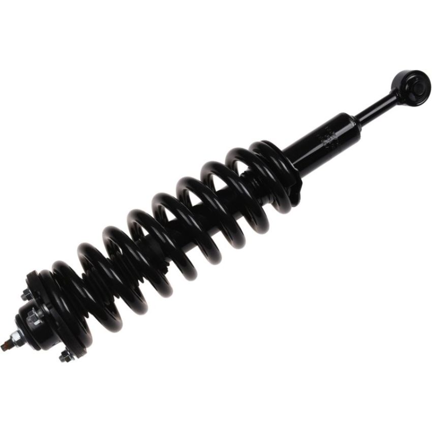 Autopart International Strut/Coil Spring Assy 2701709647