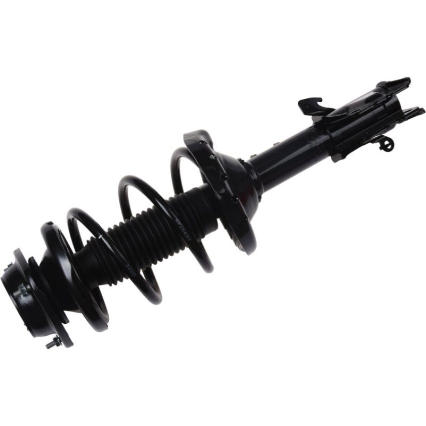 Autopart International Strut/Coil Spring Assy 2701709688