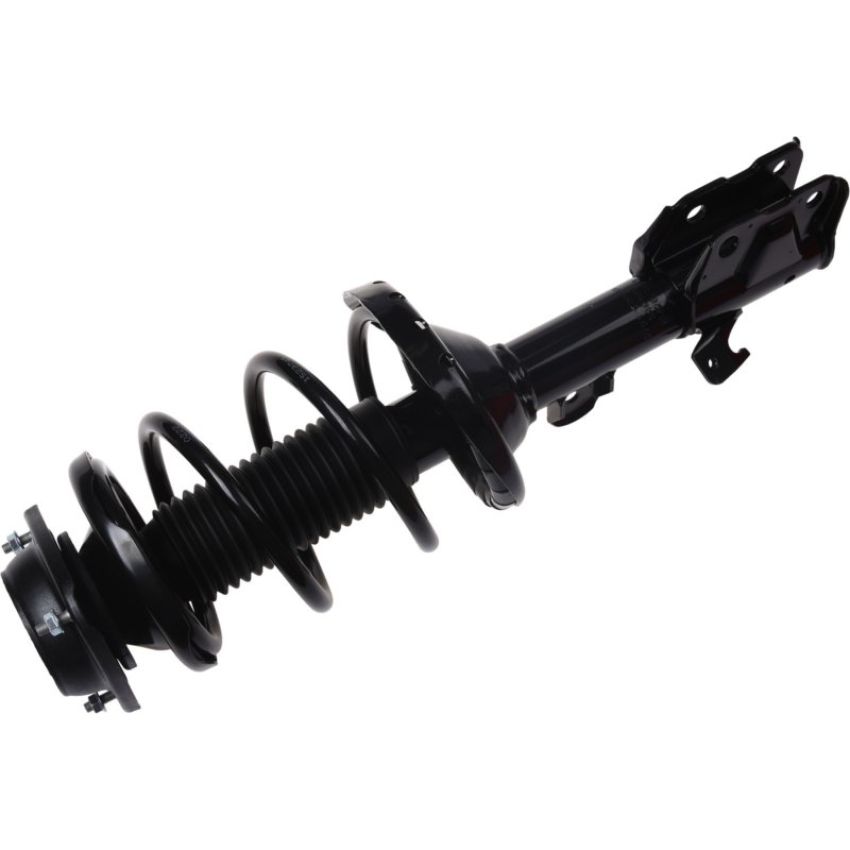 Autopart International Strut/Coil Spring Assy 2701709689