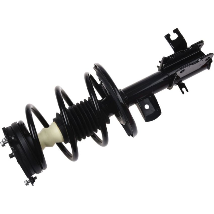 Autopart International Strut/Coil Spring Assy 2701709691