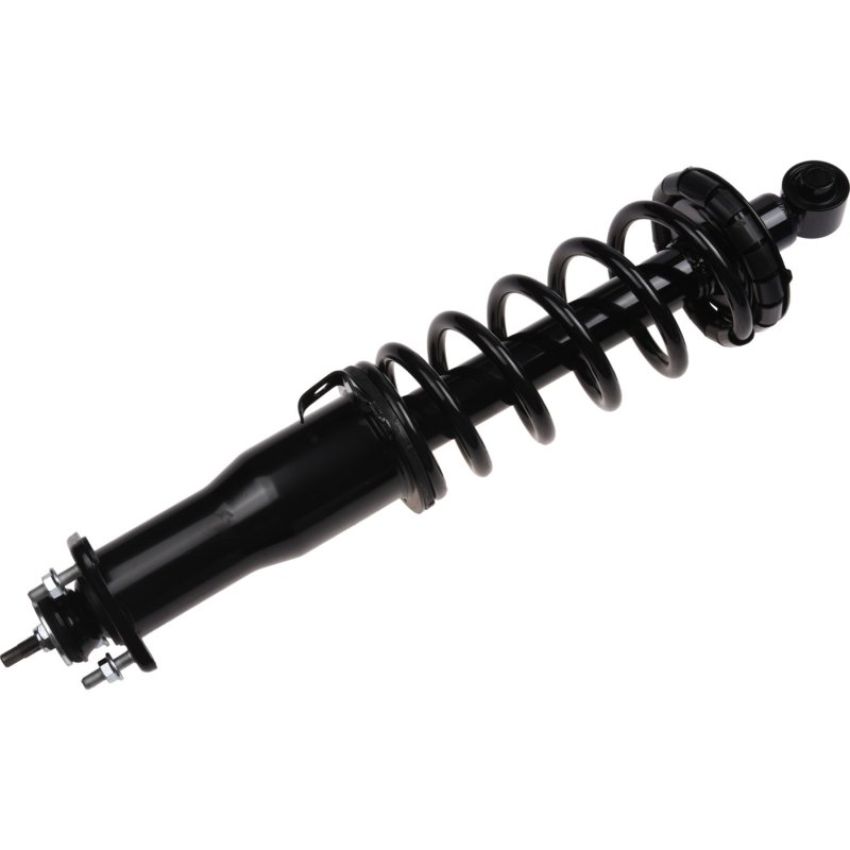 Autopart International Strut/Coil Spring Assy 2701710316