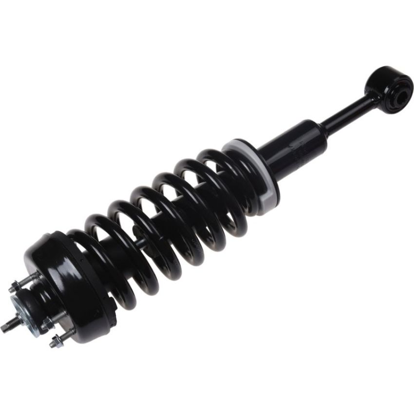 Autopart International Strut/Coil Spring Assy 2701710317
