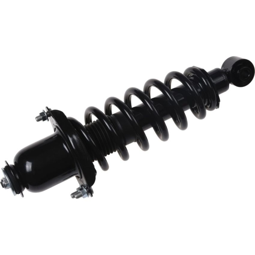 Autopart International Strut/Coil Spring Assy 2701710325