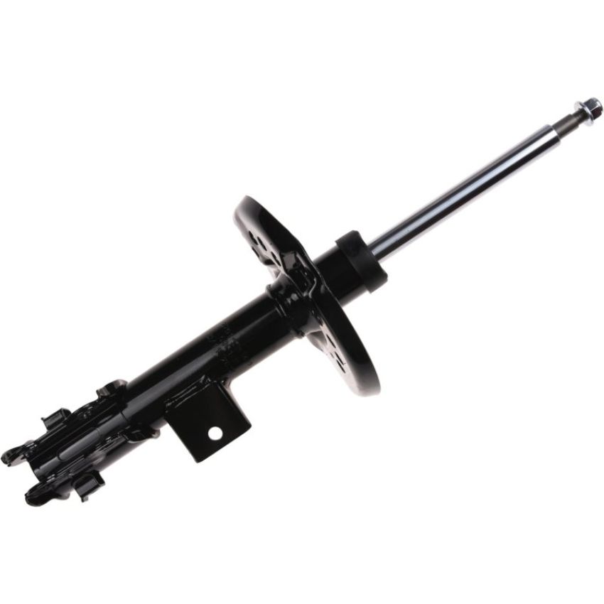 Autopart International Strut Assembly 2701711419