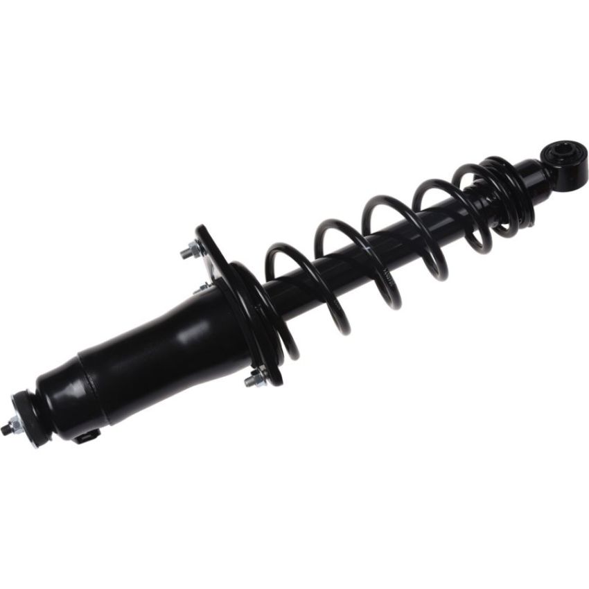 Autopart International Strut/Coil Spring Assy 2701711659