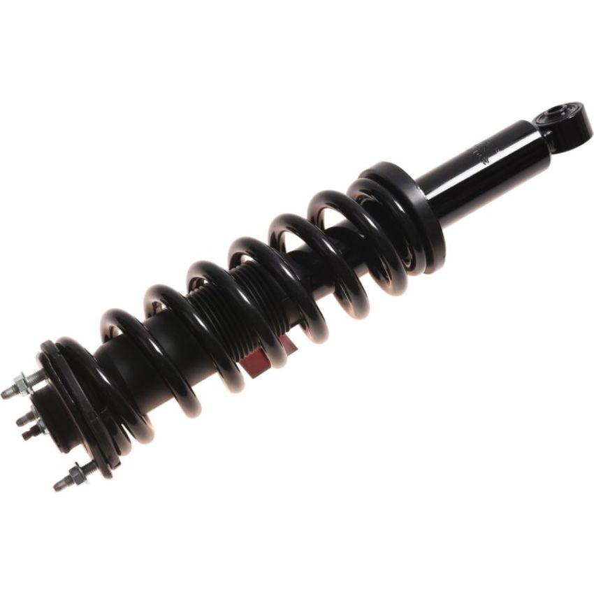Autopart International Strut/Coil Spring Assy 2701717808