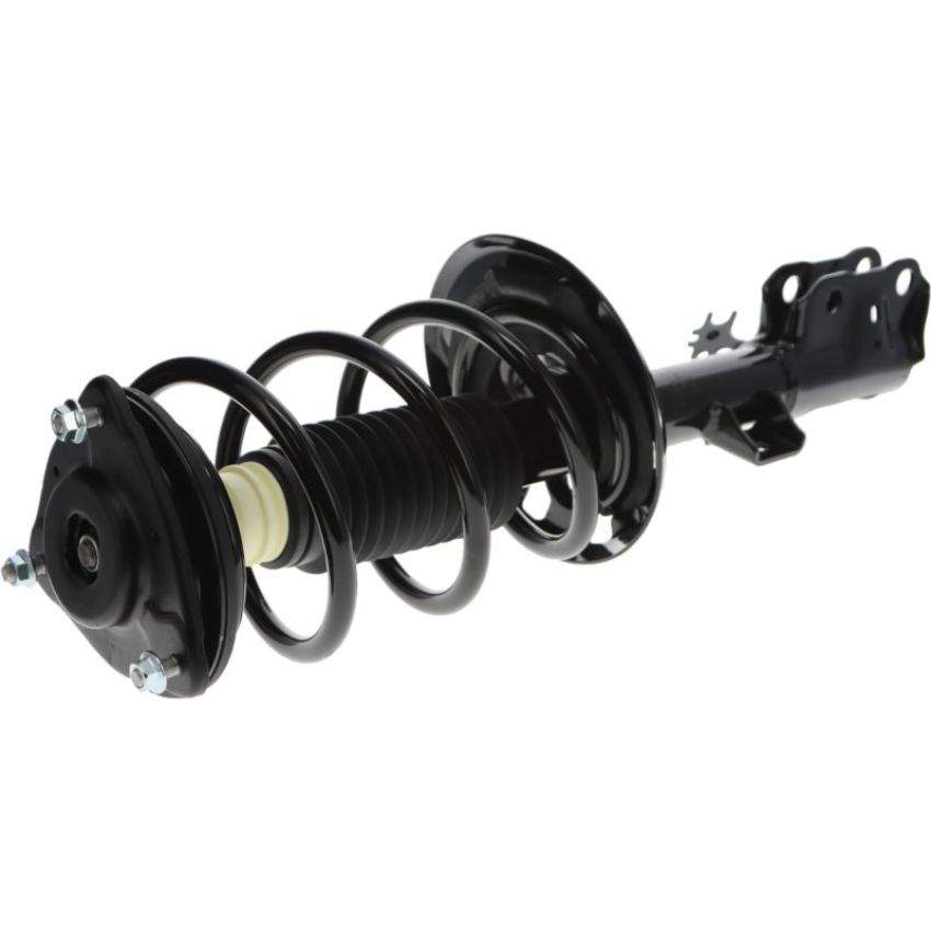Autopart International Strut/Coil Spring Assy 2701717883