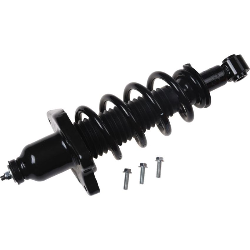 Autopart International Strut/Coil Spring Assy 2701720315