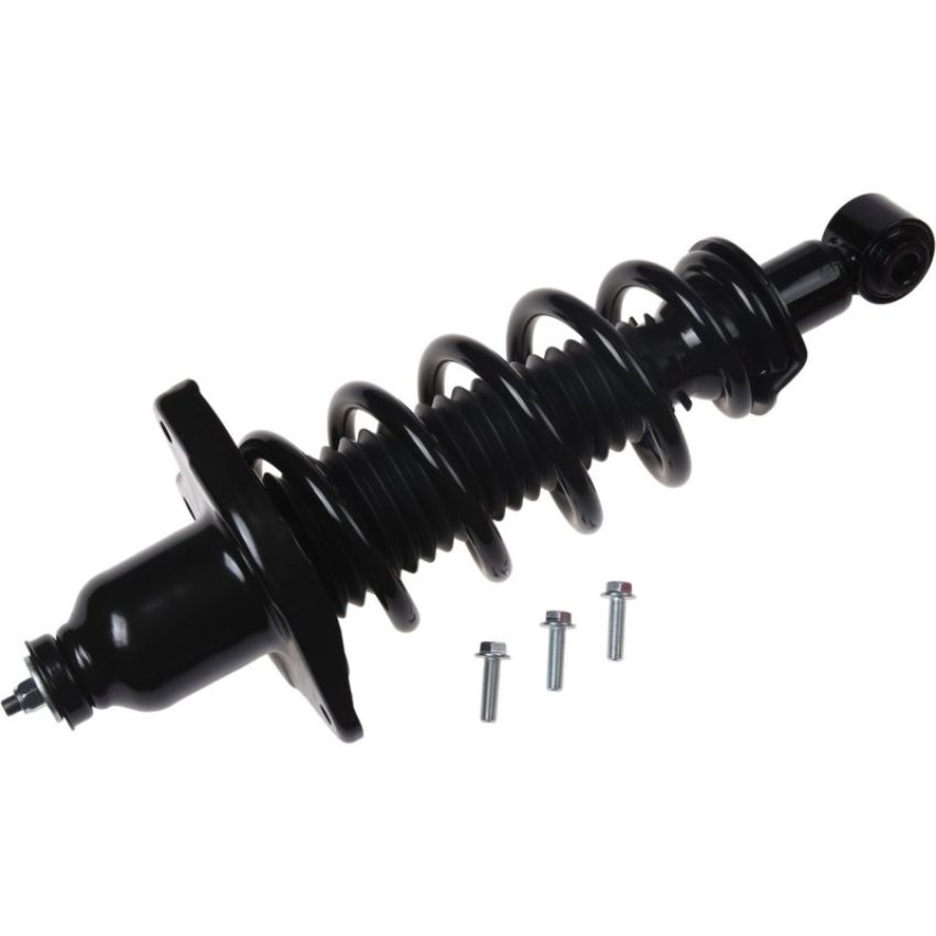 Autopart International Strut/Coil Spring Assy 2701720316