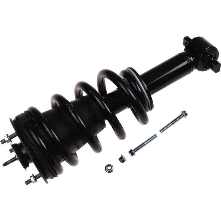 Autopart International Strut/Coil Spring Assy 2701720333