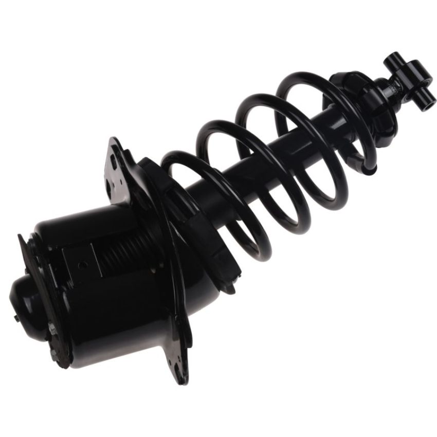 Autopart International Strut/Coil Spring Assy 2701720343