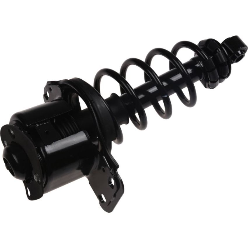 Autopart International Strut/Coil Spring Assy 2701720346