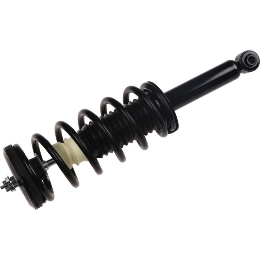 Autopart International Strut/Coil Spring Assy 2701720363