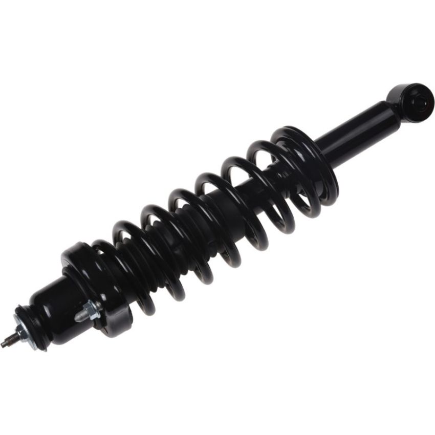 Autopart International Strut/Coil Spring Assy 2701720381