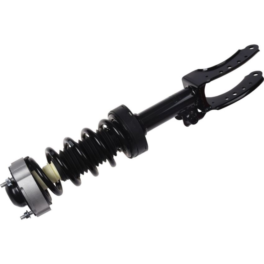 Autopart International Strut/Coil Spring Assy 2701720390