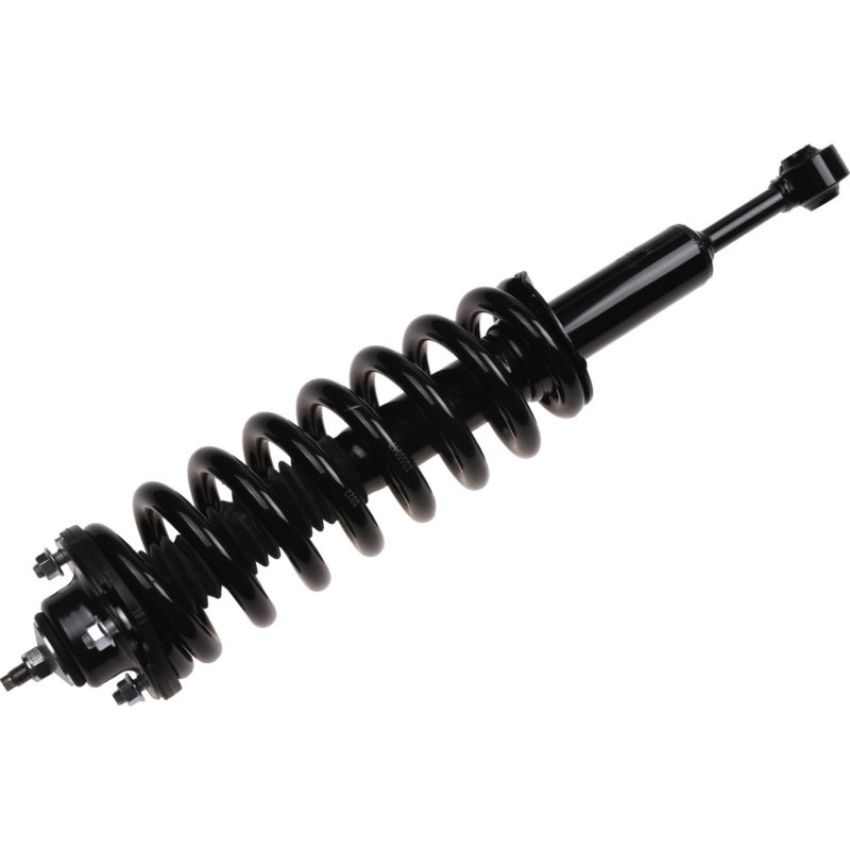 Autopart International Strut/Coil Spring Assy 2701720401
