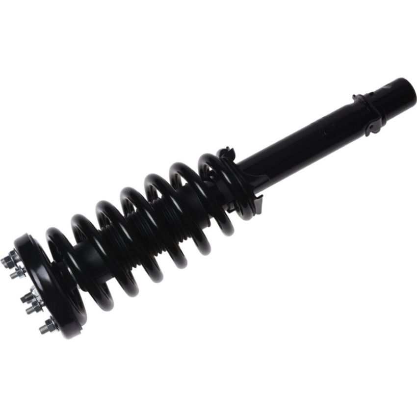 Autopart International Strut/Coil Spring Assy 2701730444