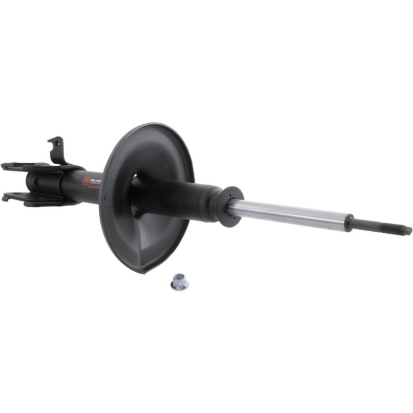 Autopart International Strut Assembly 270180282