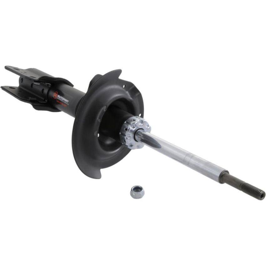 Autopart International Strut Assembly 270180483