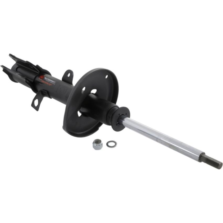 Autopart International Strut Assembly 270180498