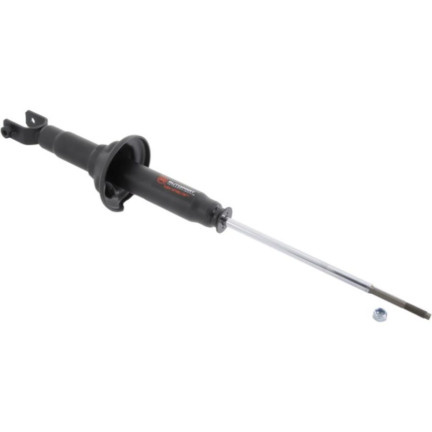 Autopart International Strut Assembly 270180553