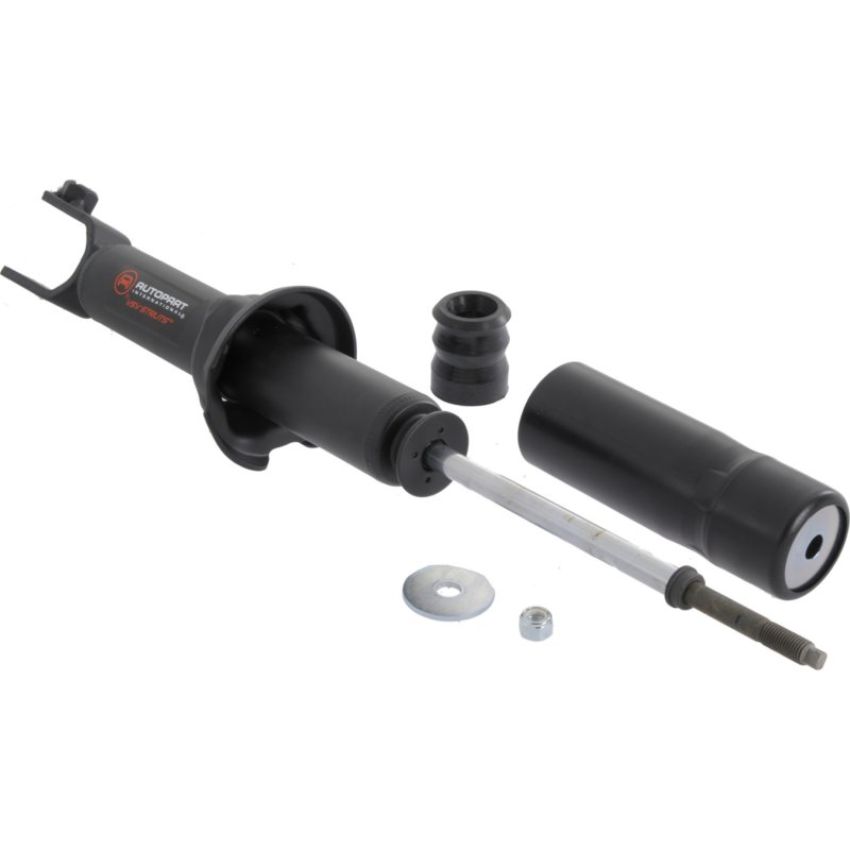 Autopart International Strut Assembly 270180567