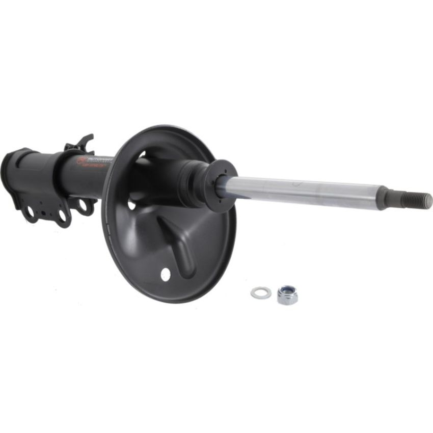 Autopart International Strut Assembly 270180577