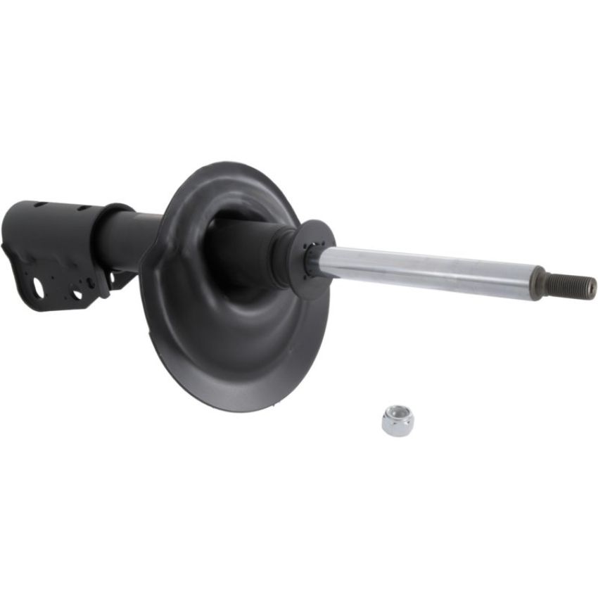 Autopart International Strut Assembly 270180601