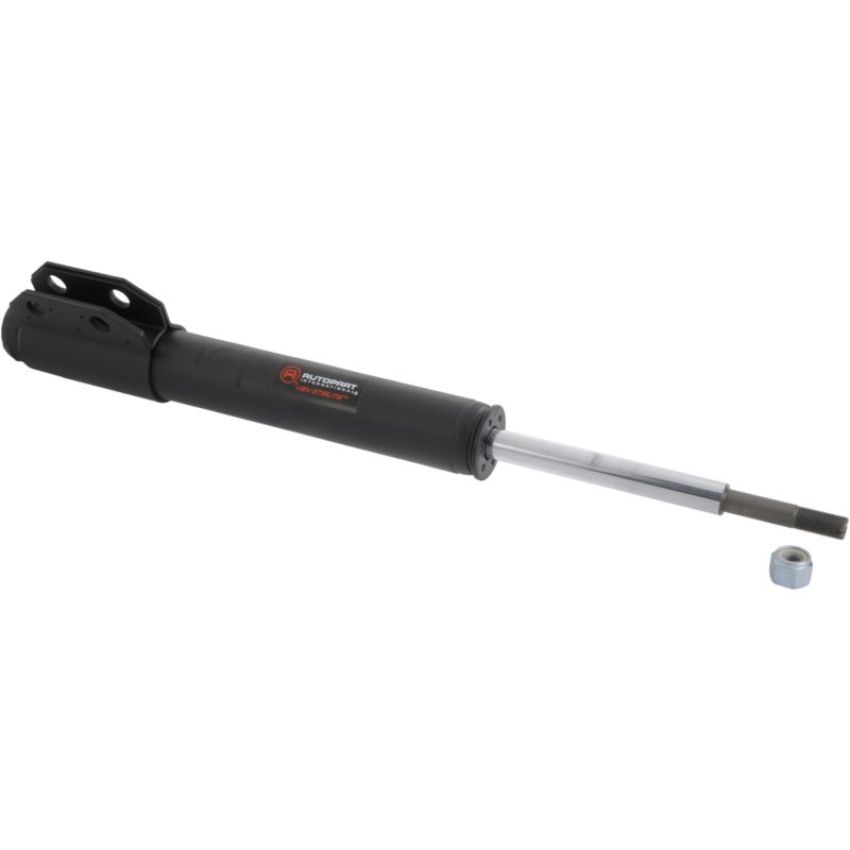 Autopart International Strut Assembly 270180618
