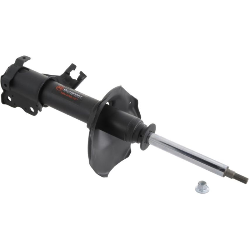 Autopart International Strut Assembly 270180622