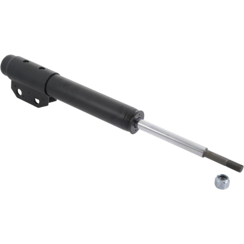 Autopart International Strut Assembly 270180625