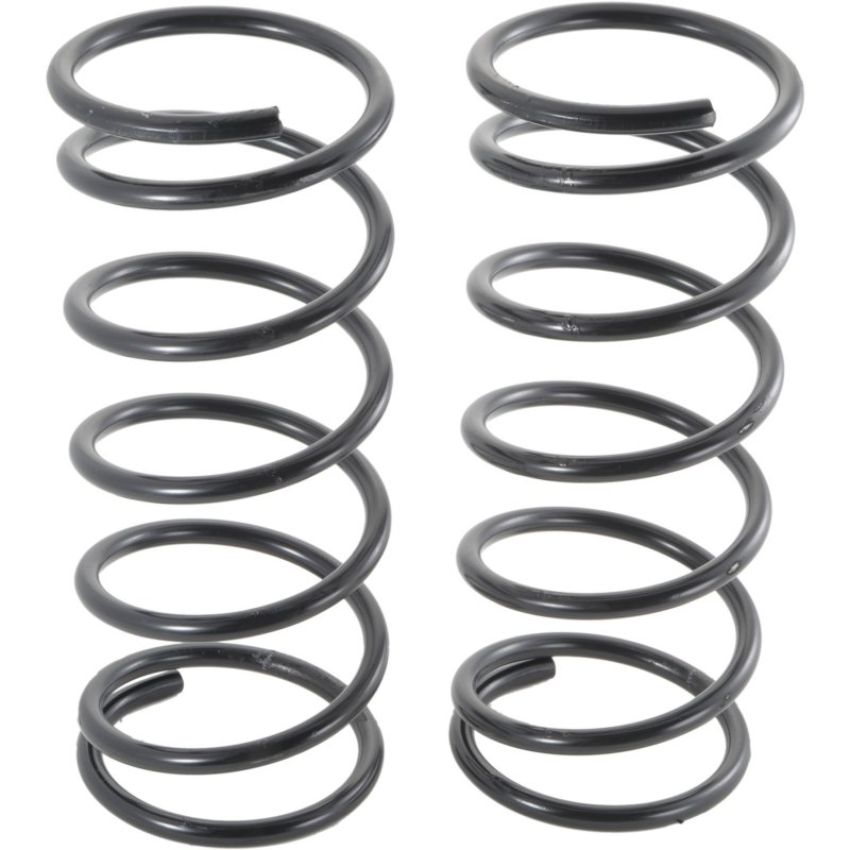Autopart International Coil Spring Set 270495629